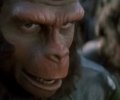 Battle for the Planet of the Apes