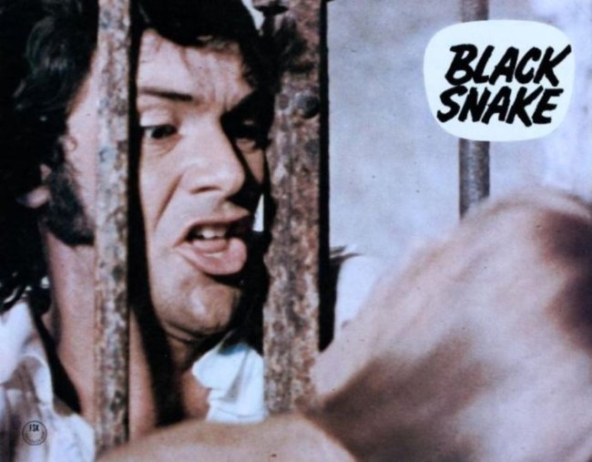 Black Snake