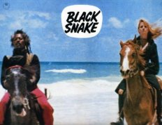 Black Snake 971539