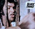 Black Snake