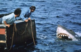 Jaws 337639