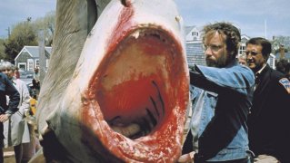 Jaws 223670