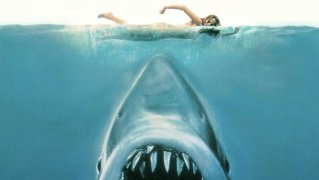Jaws 223679