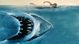 Jaws 223681