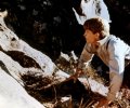 Picnic at Hanging Rock