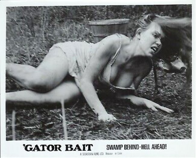 'Gator Bait