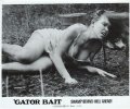 'Gator Bait