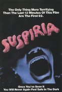 Suspiria 101563