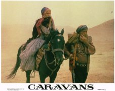 Caravans 968787