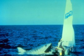 Jaws 2 442337