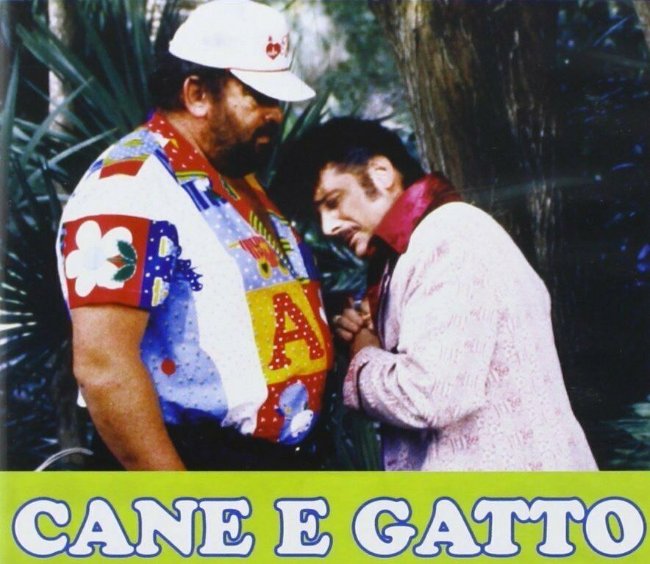 Cane e gatto