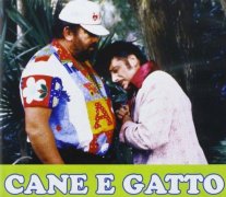 Cane e gatto 954163