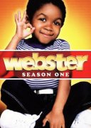 Webster 213174