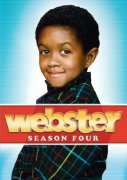 Webster 213173