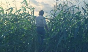 Children of the Corn 261521