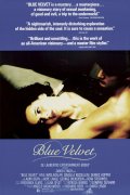 Blue Velvet 232470