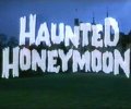 Haunted Honeymoon