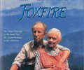 Foxfire