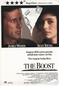 The Boost 253104