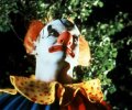 Clownhouse