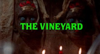 The Vineyard 926174