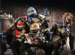 Teenage Mutant Ninja Turtles 82292