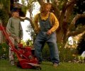 The Lawnmower Man