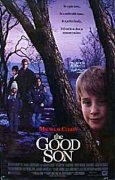 The Good Son 102294