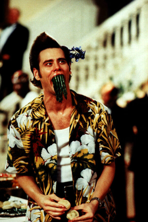 Ace Ventura: When Nature Calls