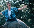 Ace Ventura: When Nature Calls