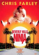 Beverly Hills Ninja 523265