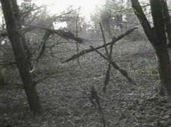 The Blair Witch Project 95100