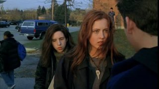 Ginger Snaps 411740