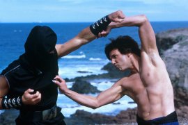 Kung Pow: Enter the Fist 396918