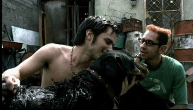 Amores perros