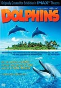 Dolphins 206306