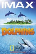 Dolphins 206307