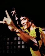 Bruce Lee: A Warrior's Journey 685543