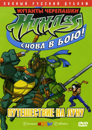 Teenage Mutant Ninja Turtles