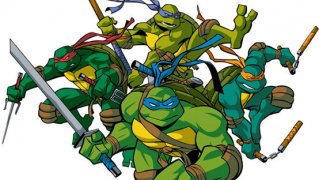Teenage Mutant Ninja Turtles 605508