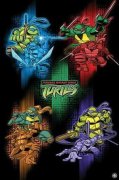 Teenage Mutant Ninja Turtles 378114