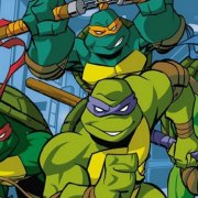 Teenage Mutant Ninja Turtles 605520