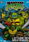 Teenage Mutant Ninja Turtles 378124