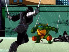 Teenage Mutant Ninja Turtles 605515