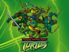 Teenage Mutant Ninja Turtles 605510