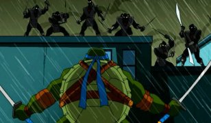 Teenage Mutant Ninja Turtles 605544