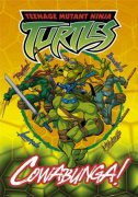 Teenage Mutant Ninja Turtles 378112