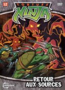 Teenage Mutant Ninja Turtles 378118