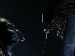 AVP: Alien vs. Predator 115165