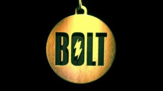 Bolt 10738